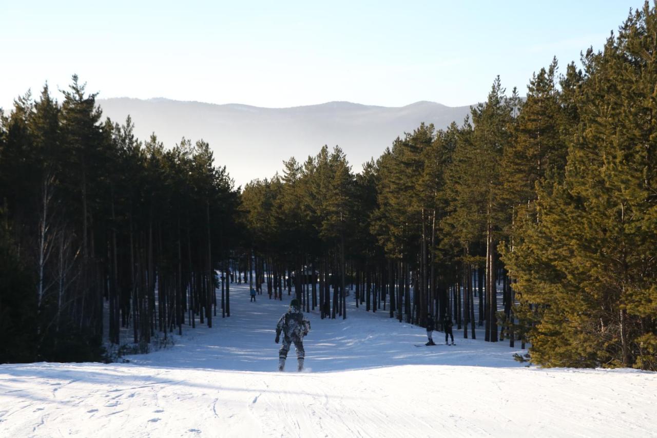 Orman Ski Shchuchinskiy Dış mekan fotoğraf